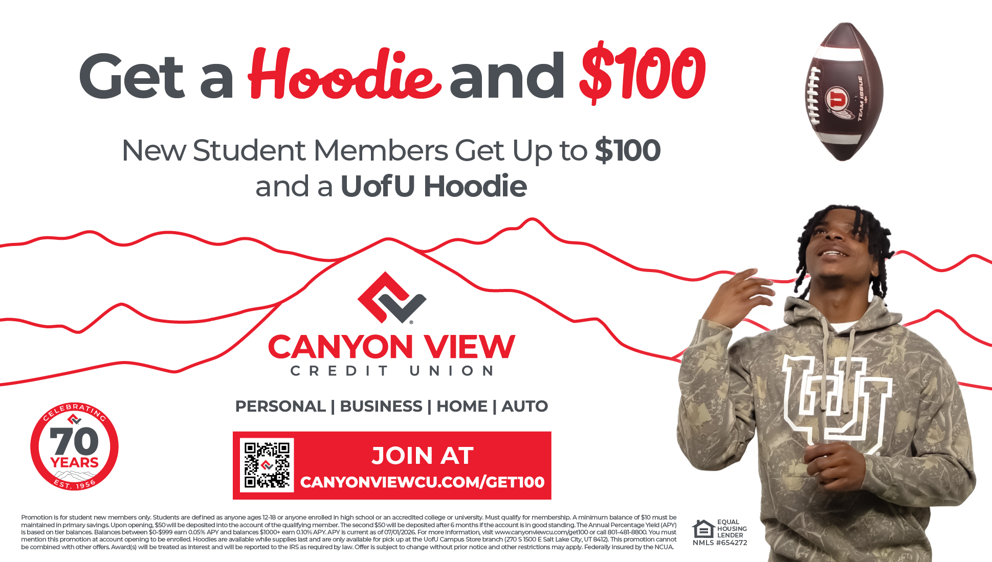 Landscape digital screen, Get a Hoodie and 100 dollars