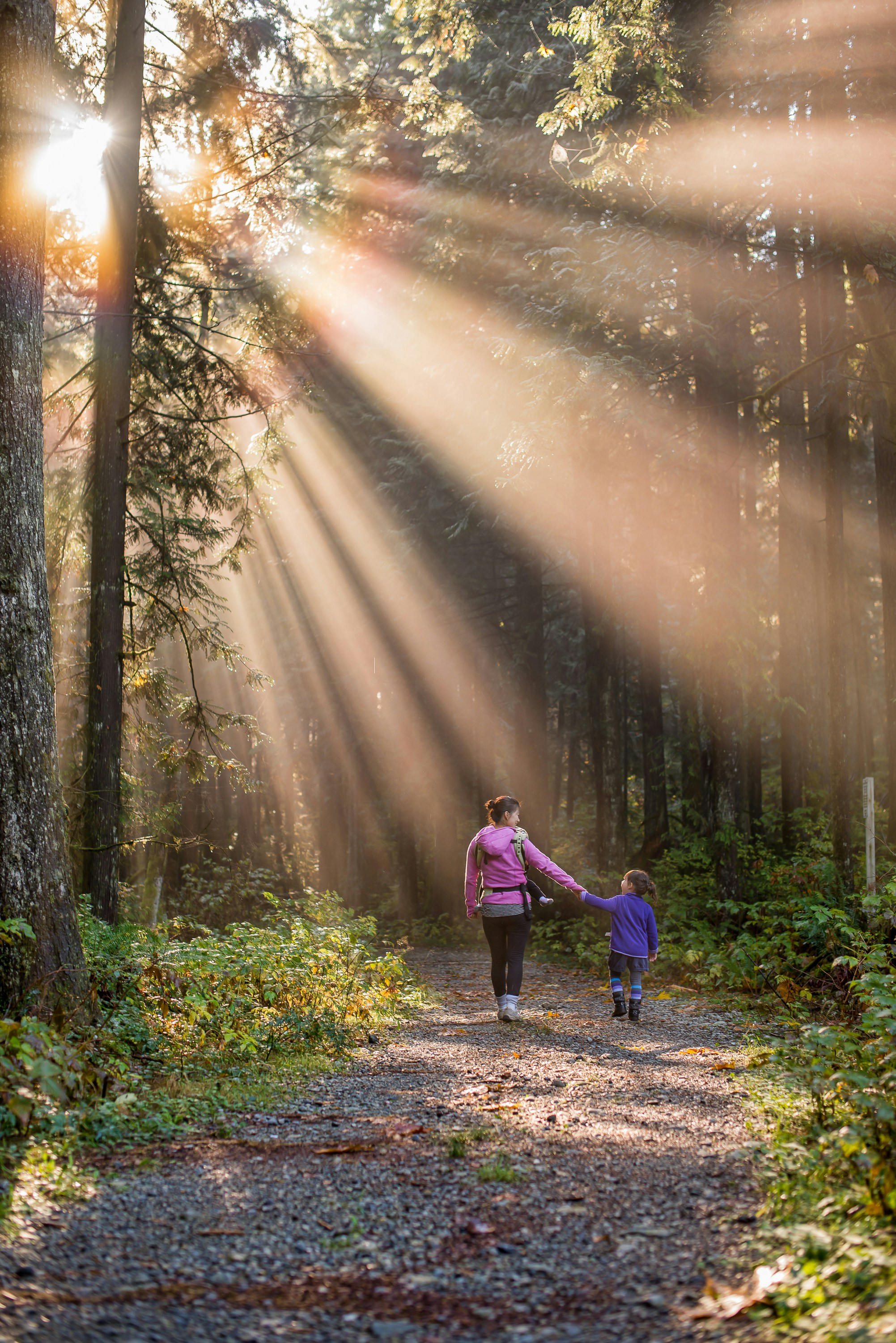 A mother and child walking a forest trail in morning light