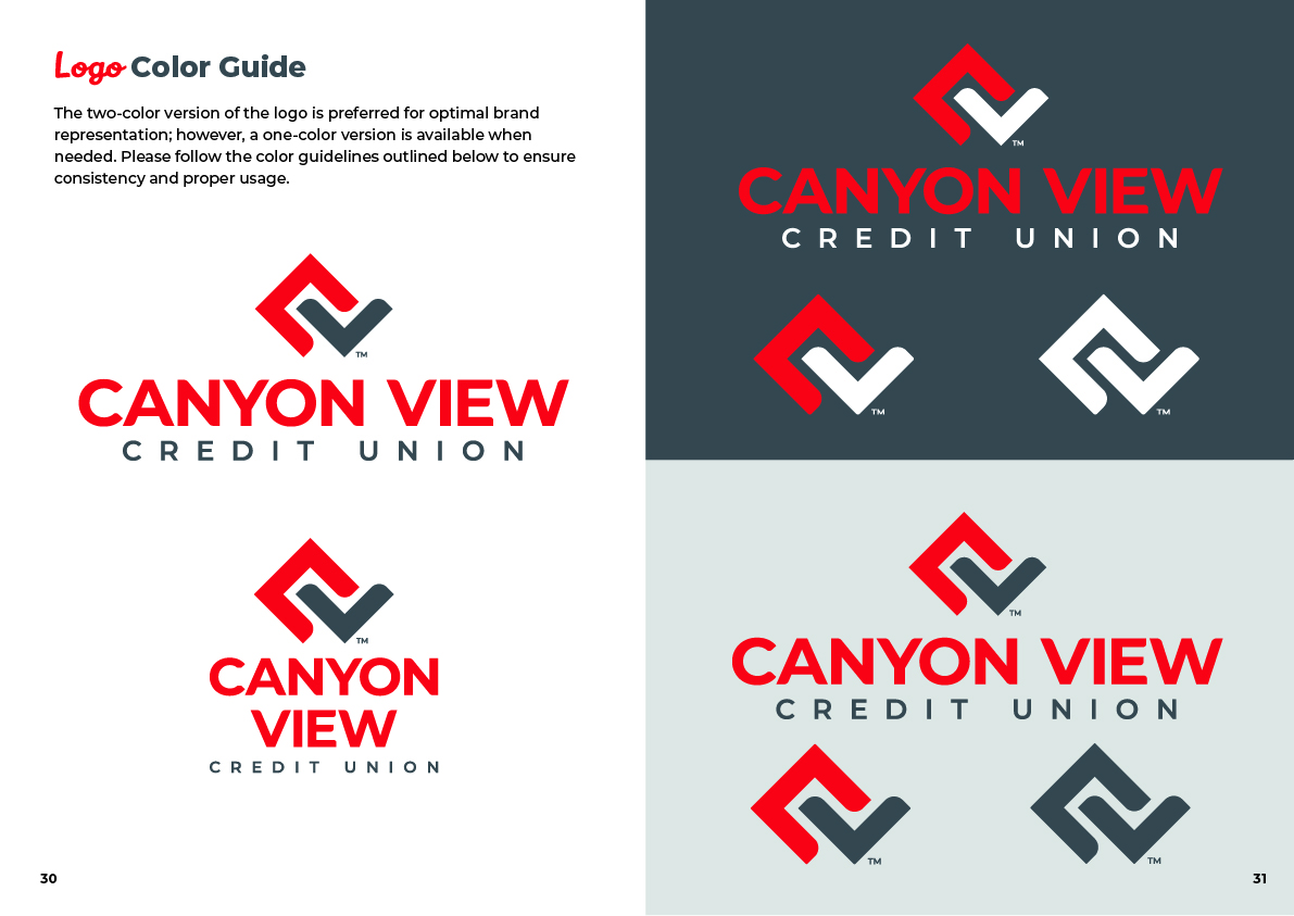 Logo color guide